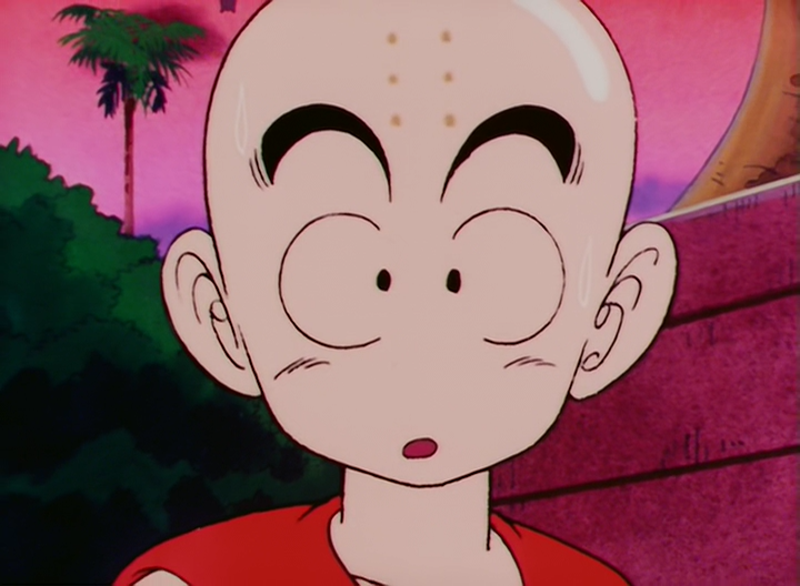 Dragon Ball (EvoShare)